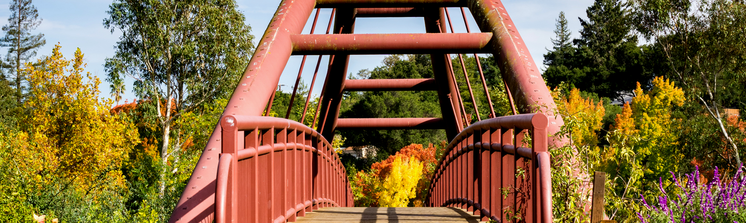 Banner image of Los Gatos